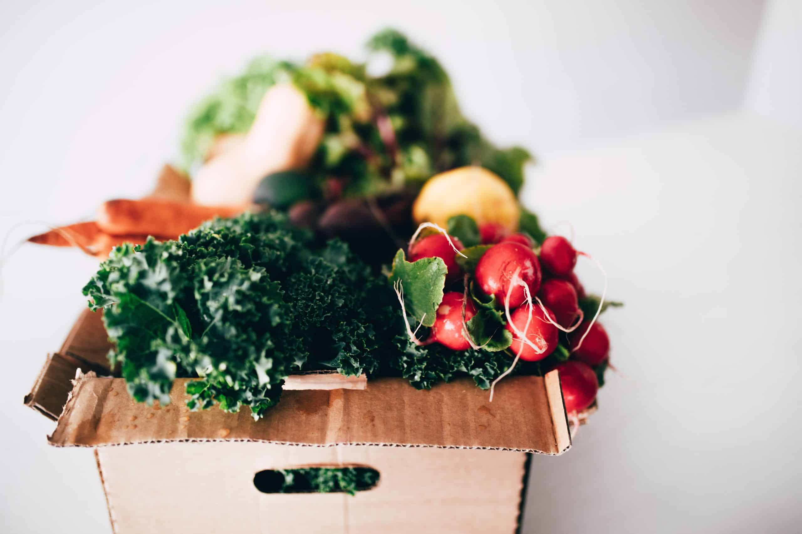 Fresh garden vegetables in a cardboard box for sustainable gardening.
