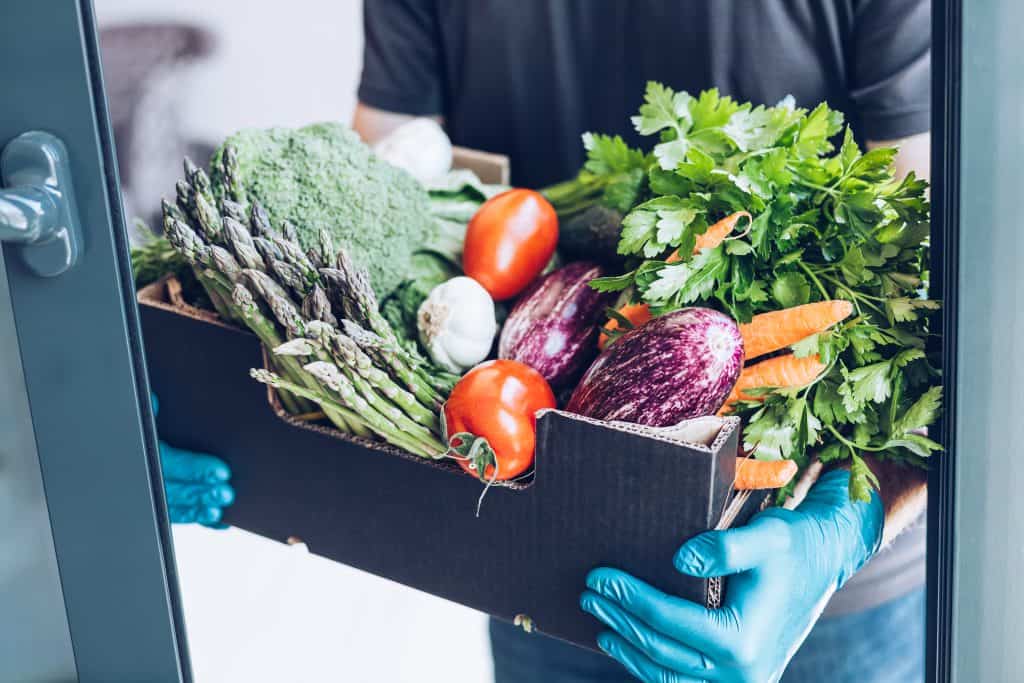 Fresh garden vegetables including tomatoes, eggplants, carrots, and leafy greens for delivery.