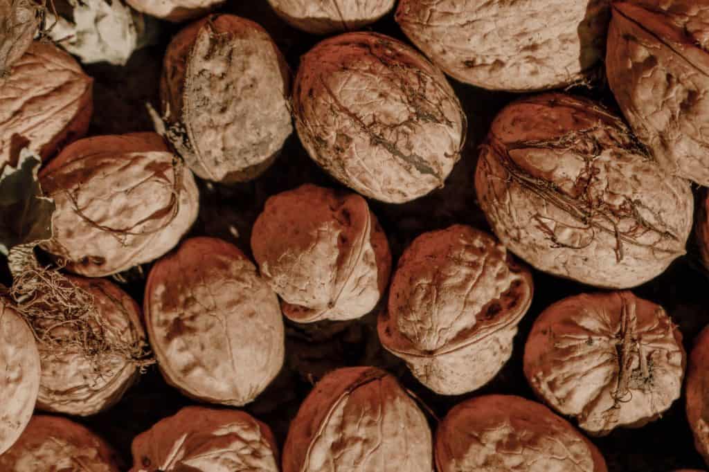 Close-up of hazelnuts with rough shells in a pile.