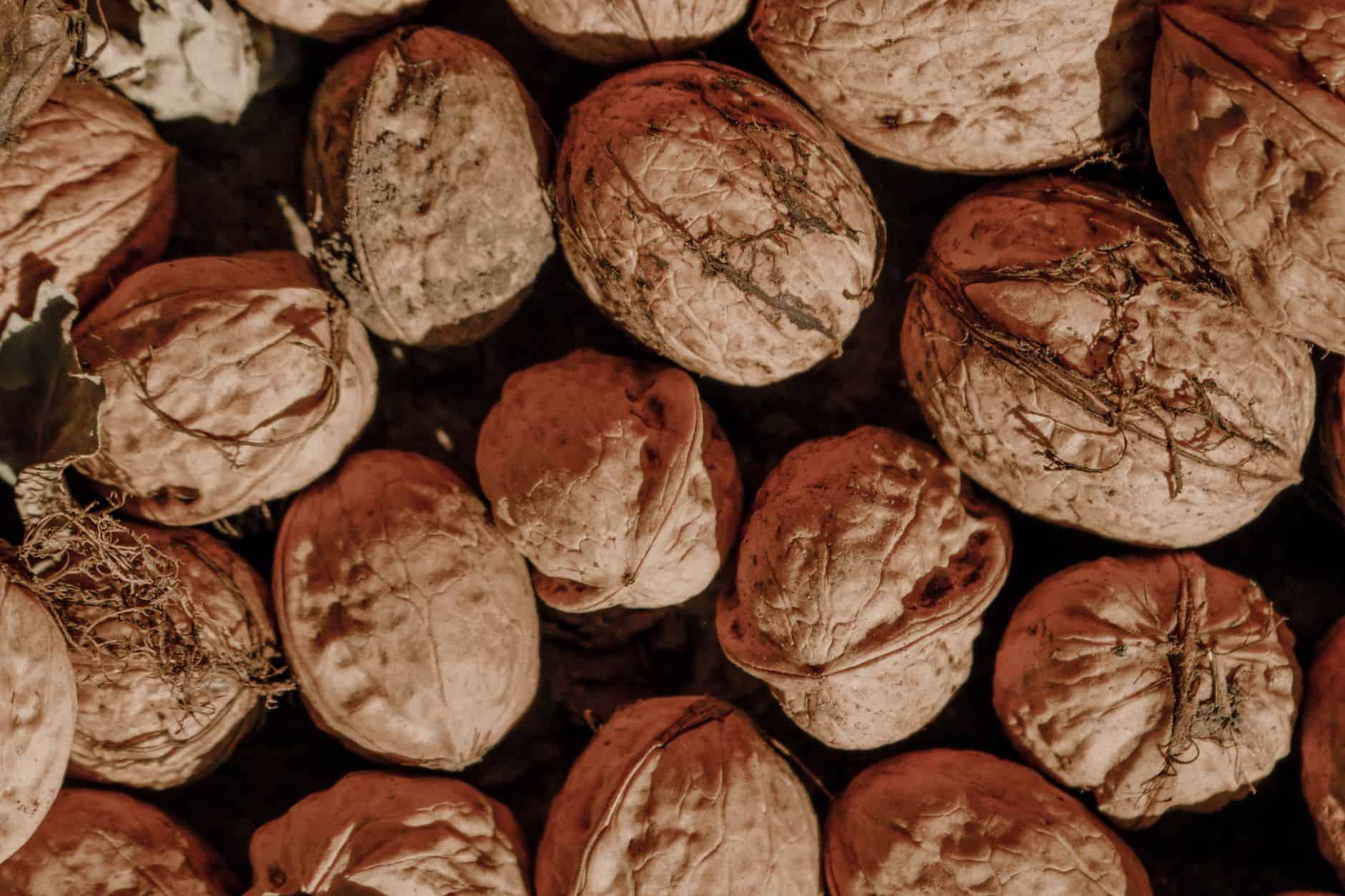 Close-up of hazelnuts with rough shells in a pile.