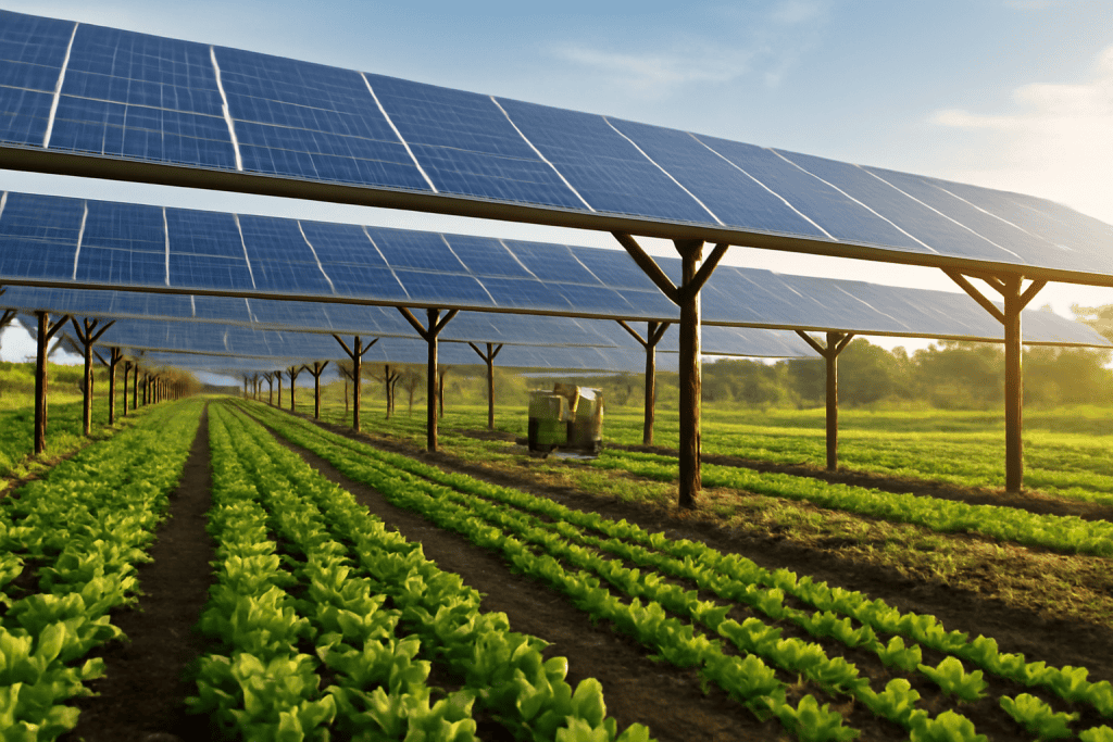 Navigating Organic Solar Cells: Technology, Efficiency, and Market Potential for 2026 - Solar Plus Garden