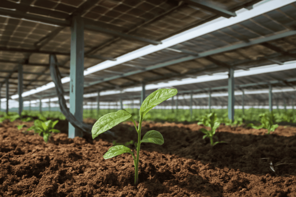 Optimizing Solar Farm Performance with Advanced Solar SCADA Systems - Solar Plus Garden
